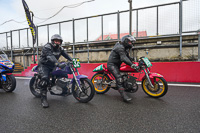 brands-hatch-photographs;brands-no-limits-trackday;cadwell-trackday-photographs;enduro-digital-images;event-digital-images;eventdigitalimages;no-limits-trackdays;peter-wileman-photography;racing-digital-images;trackday-digital-images;trackday-photos